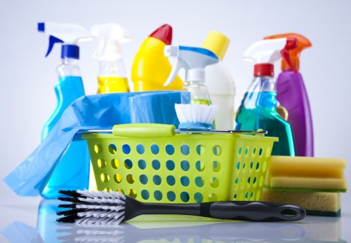 Sofa cleaning essentials in a bright living room