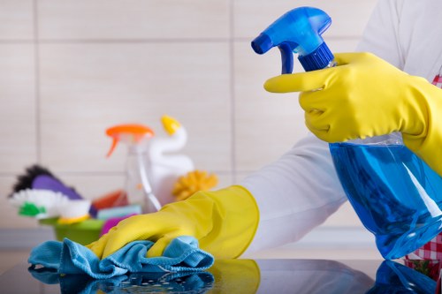 Rug cleaning process in a bright living room