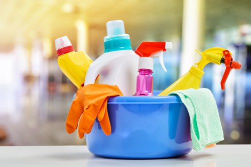 Eco-friendly tools used in domestic cleaning