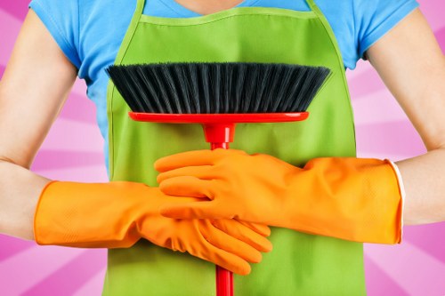 Deep cleaning supplies arranged for home cleaning