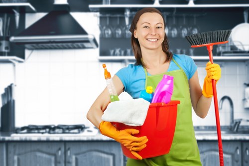 Professional rug cleaning equipment and rug care setup