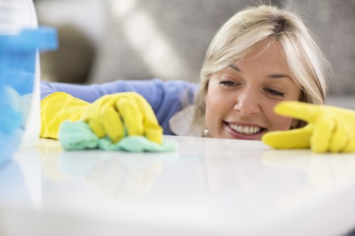 Bathroom sanitizing during a move in cleaning in service
