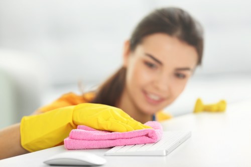 Professional oven cleaning results in a modern kitchen