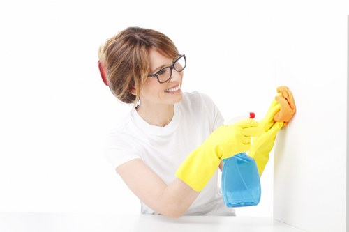 Interior and exterior window cleaning with squeegee and cloth