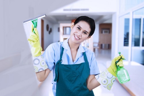 Tools used for window cleaning on glass surfaces
