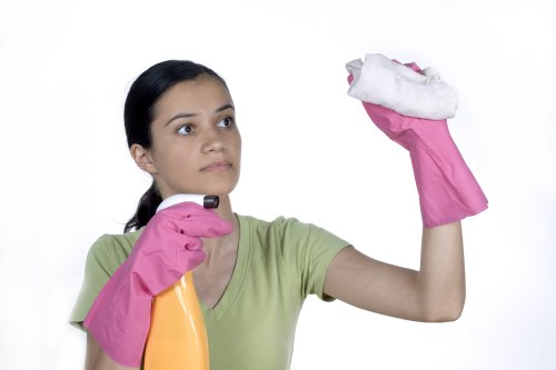 Step-by-step sofa cleaning routine in progress