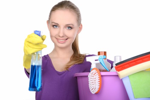 Pet-friendly carpet cleaning supplies and vacuum for home maintenance