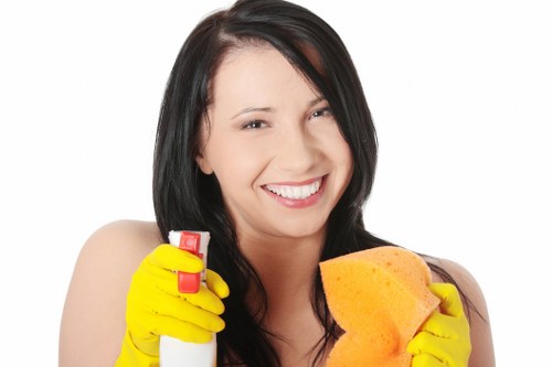 Kitchen deep cleaning around appliances and counters