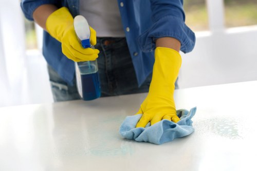 Professional house cleaning tools and fresh home interior