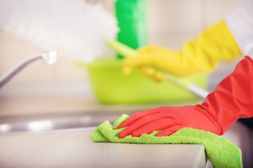 Different oven cleaning methods and tools